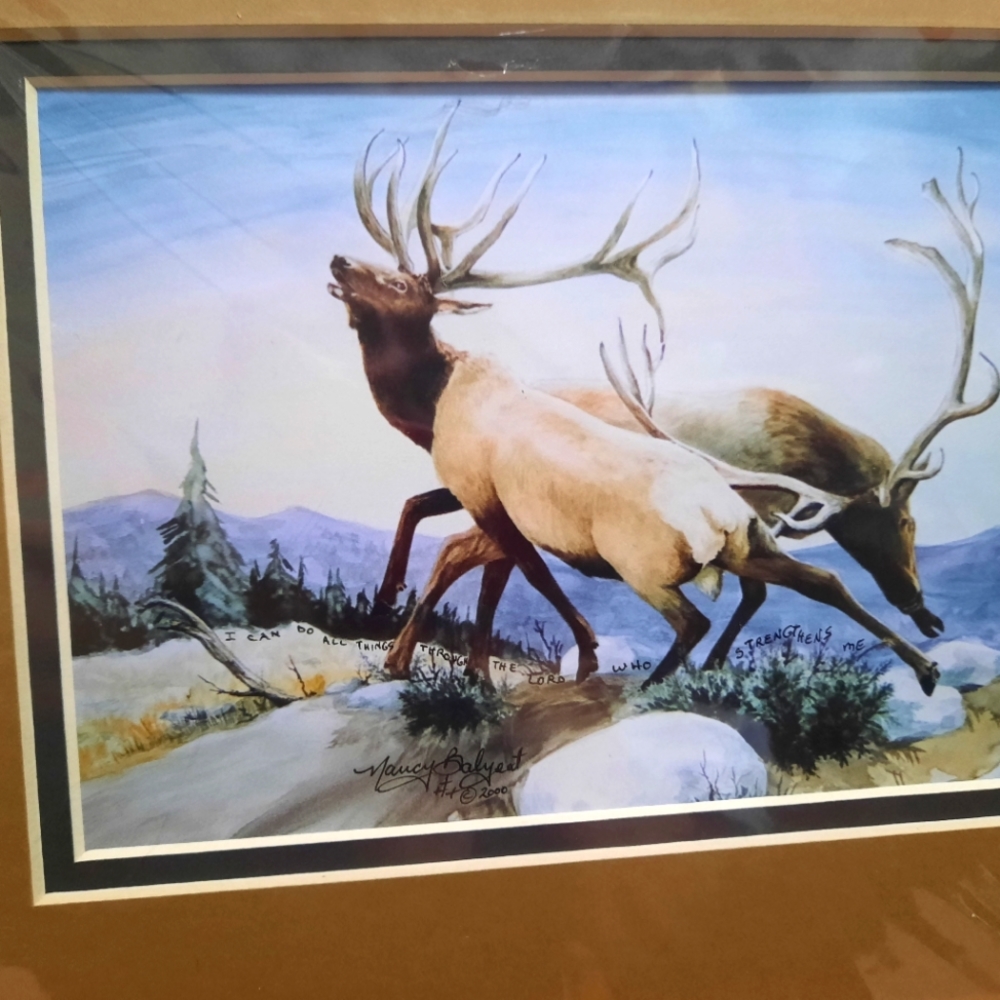 Nancy Balyeat hidden verse elk picture